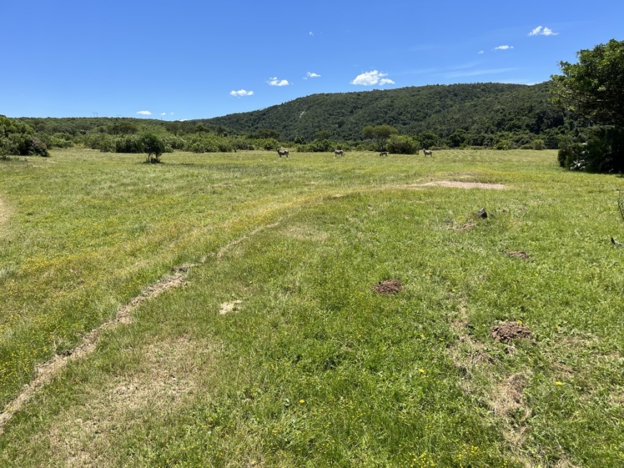 Commercial Property for Sale in Port Alfred Rural Eastern Cape